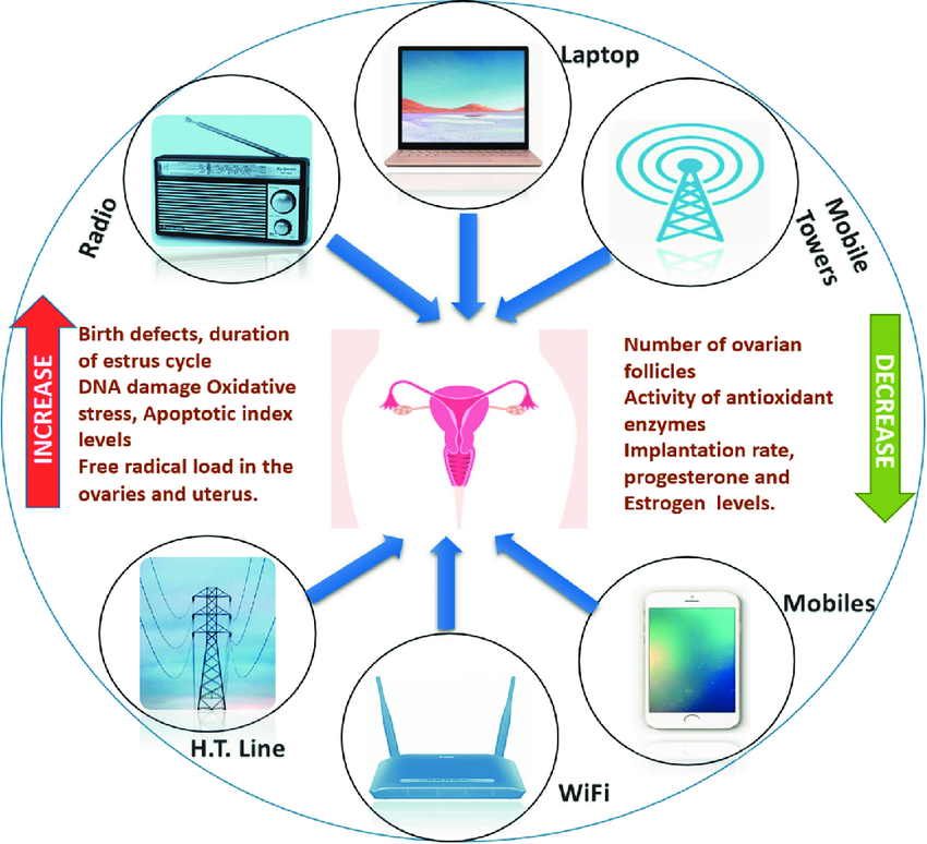 Possible-effect-of-non-ionizing-EMR-on-female-reproductive-health