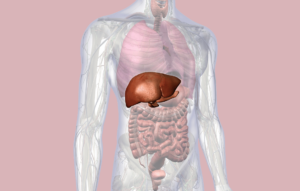 the amazing liver and gallbladder flush
