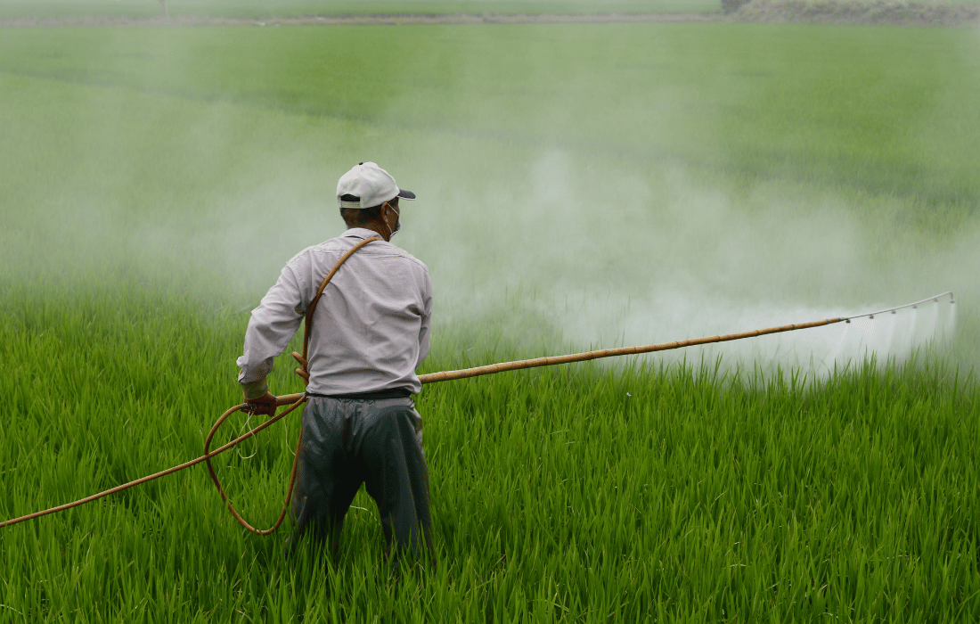 organic food reduces pesticides