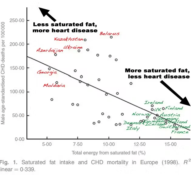 saturated fats heart disease stroke