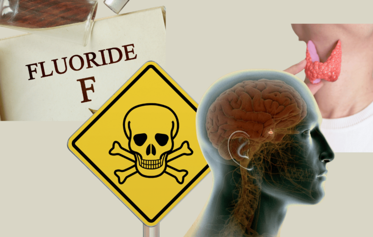 fluoride drinking water thyroid health pineal gland