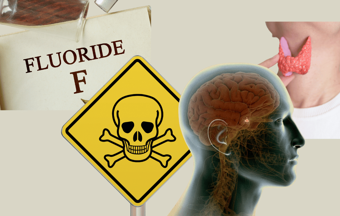 fluoride drinking water thyroid health pineal gland