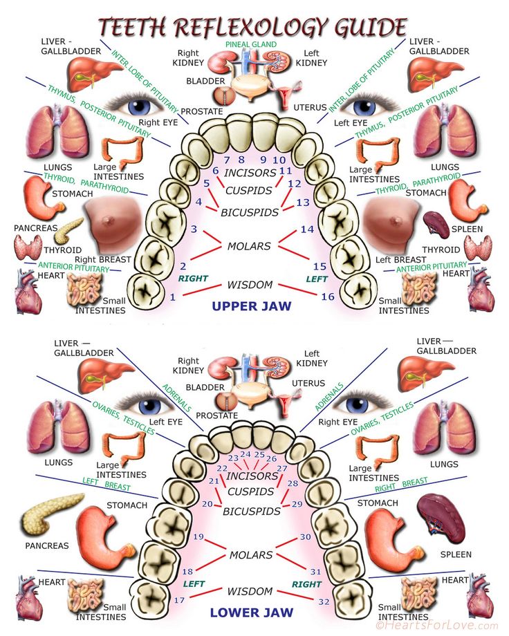 teeth-reflexology-guide