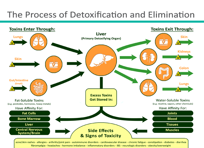 detox-pathways-explained