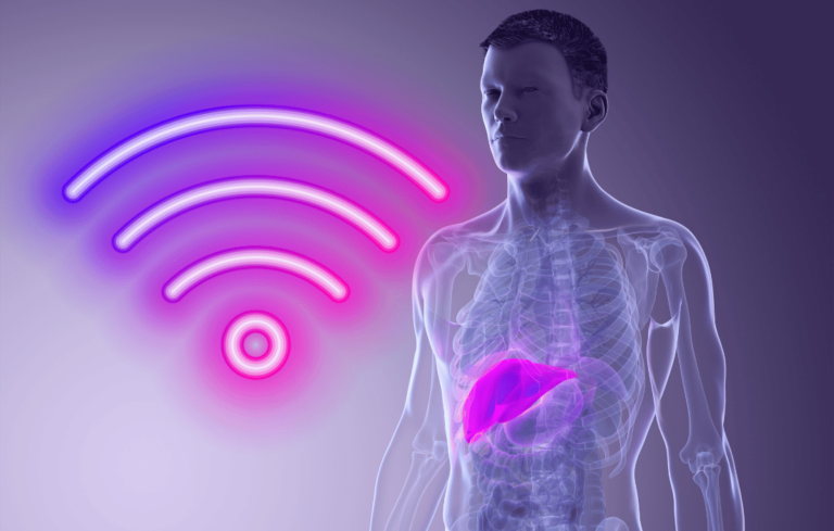 emf-detox-pathways