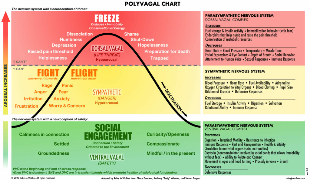 polyvagal-theory