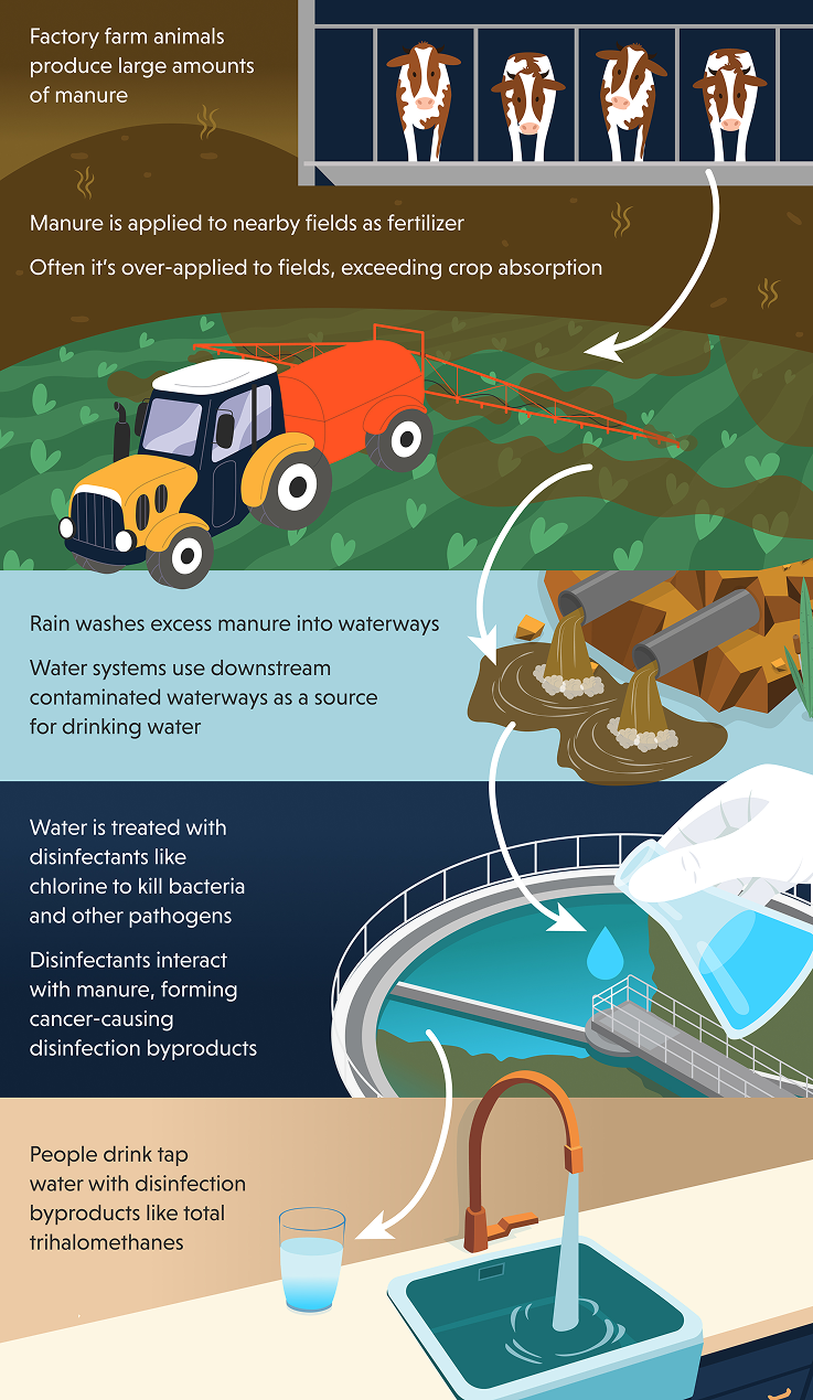ewg_report_cafos-disinfect - KyletotheMoon Health & Wellness wg_report_cafos-disinfect