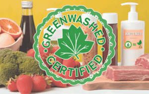 how-to-spot-greenwashing-wellness-health-products