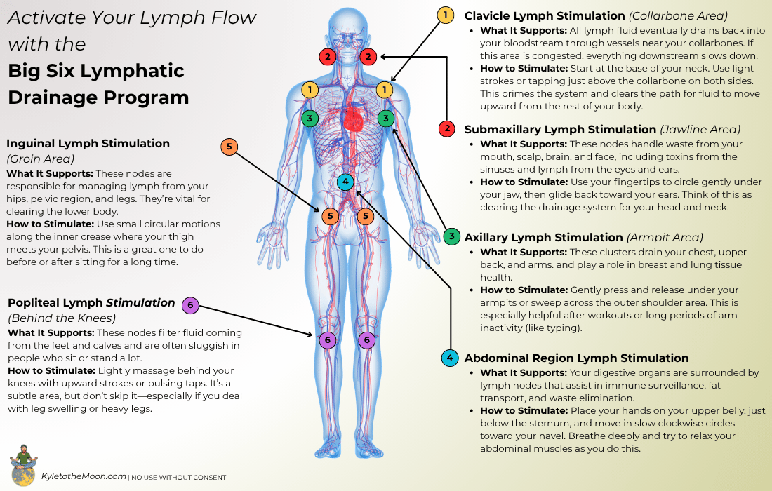 LYMPH-BIG-6-LMYPHATIC-DRAINAGE-MASSAGE-PROGRAM