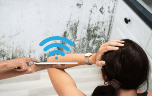 mold-wireless-radiation-emfs